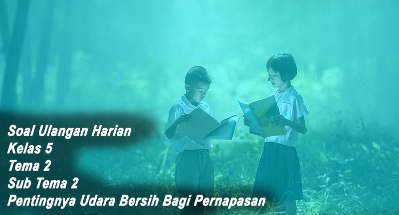 Soal Ulangan Harian Kelas 5 Tema 2 Sub Tema 2 Pentingnya Udara Bersih Bagi Pernapasan Tutwuriid 4150