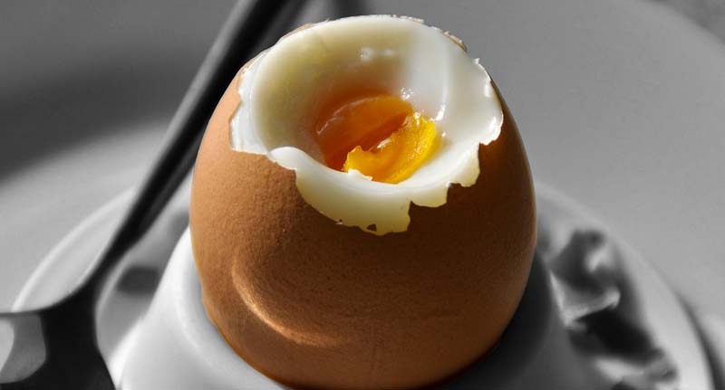 5 Manfaat Utama Mengkonsumsi Telur