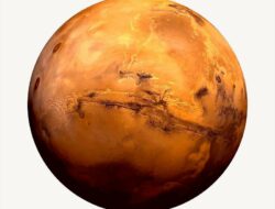 Fakta Menarik tentang Mars: Planet Merah di Tata Surya Kita