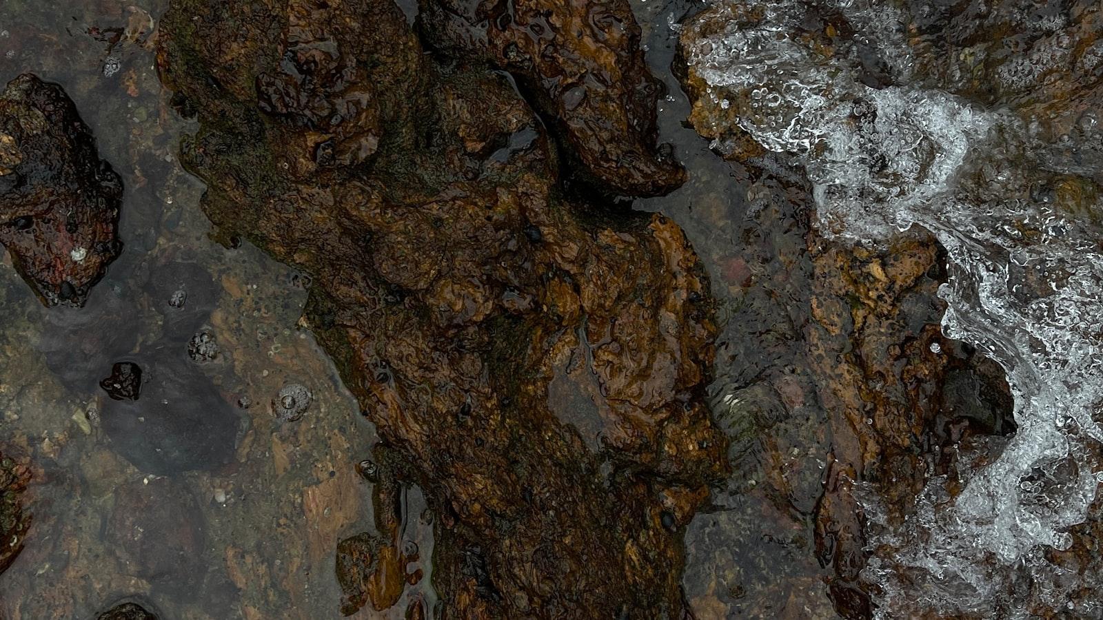 Cahaya Misterius: Kejadian Ajaib Bioluminescense⁢ di‍ Maladewa