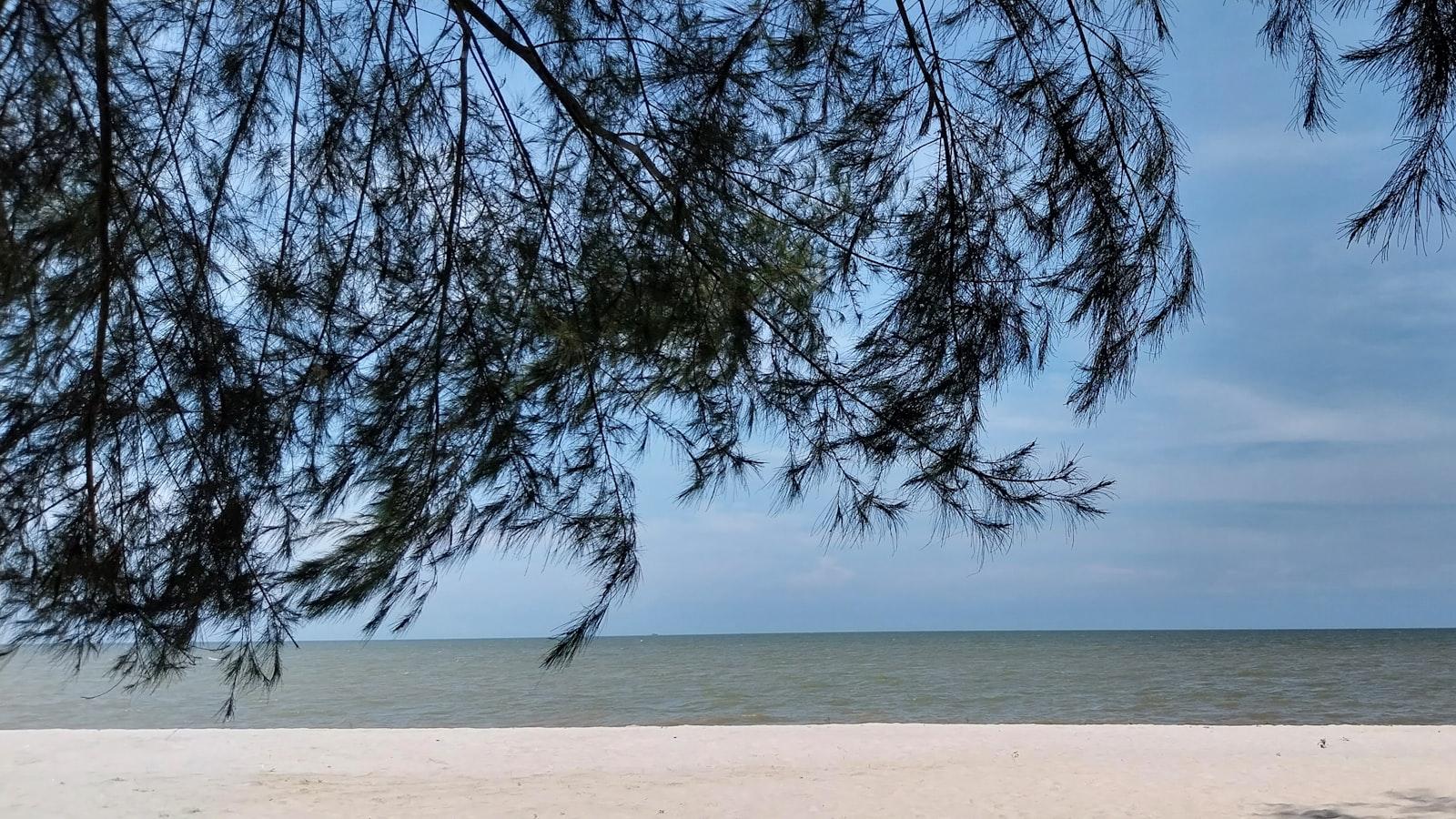 Saran Wisata ​Unik: Mengunjungi⁢ Keajaiban Dunia dengan⁢ Cara⁢ Berbeda