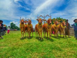 Tradisi Budaya Unik dari Seluruh Dunia