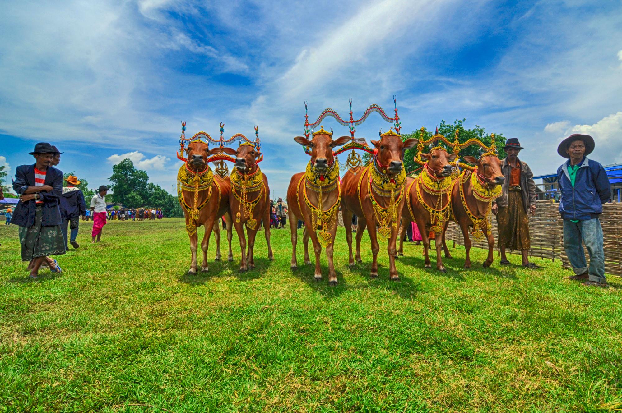 Tradisi Budaya Unik dari Seluruh Dunia