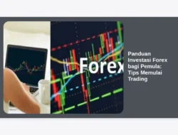 Panduan Investasi Forex bagi Pemula: Tips Memulai Trading