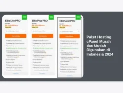Paket Hosting cPanel Murah dan Mudah Digunakan di Indonesia 2024