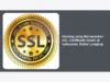Hosting yang Menawarkan SSL Certificate Gratis di Indonesia: Daftar Lengkap
