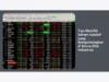 Tips Memilih Saham Syariah yang Menguntungkan di Bursa Efek Indonesia