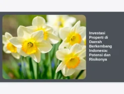 Investasi Properti di Daerah Berkembang Indonesia: Potensi dan Risikonya