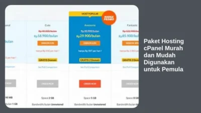 Paket Hosting cPanel Murah dan Mudah Digunakan untuk Pemula