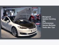 Mengecek Uptime Hosting dan Performanya Secara Berkala: Tools dan Tips