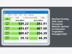 Manfaat Hosting SSD untuk Kecepatan Website Optimal di Indonesia: Tingkatkan Peringkat SEO