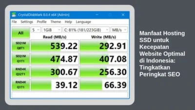 Manfaat Hosting SSD untuk Kecepatan Website Optimal di Indonesia: Tingkatkan Peringkat SEO
