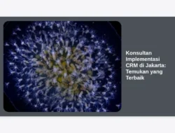 Konsultan Implementasi CRM di Jakarta: Temukan yang Terbaik