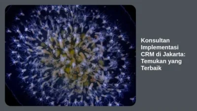 Konsultan Implementasi CRM di Jakarta: Temukan yang Terbaik