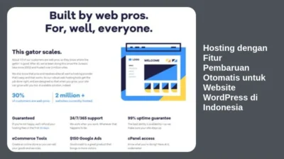 Hosting dengan Fitur Pembaruan Otomatis untuk Website WordPress di Indonesia