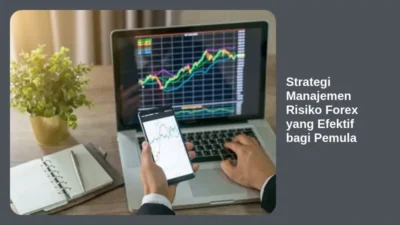 Strategi Manajemen Risiko Forex yang Efektif bagi Pemula