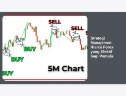 Strategi Manajemen Risiko Forex yang Efektif bagi Pemula