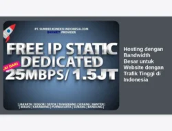 Hosting dengan Bandwidth Besar untuk Website dengan Trafik Tinggi di Indonesia