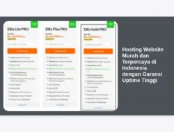 Hosting Website Murah dan Terpercaya di Indonesia dengan Garansi Uptime Tinggi