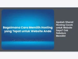 Apakah Shared Hosting Cocok untuk Website Saya? Cek Sebelum Memilih!