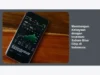 Membangun Kekayaan dengan Investasi Saham Blue Chip di Indonesia
