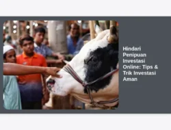 Hindari Penipuan Investasi Online: Tips & Trik Investasi Aman