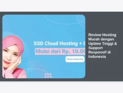 Review Hosting Murah dengan Uptime Tinggi & Support Responsif di Indonesia