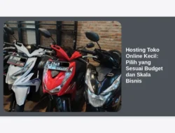 Hosting Toko Online Kecil: Pilih yang Sesuai Budget dan Skala Bisnis