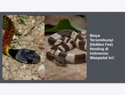 Biaya Tersembunyi (Hidden Fee) Hosting di Indonesia: Waspadai Ini!