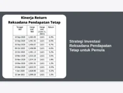 Strategi Investasi Reksadana Pendapatan Tetap untuk Pemula