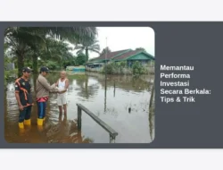 Memantau Performa Investasi Secara Berkala: Tips & Trik