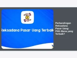 Perbandingan Reksadana Pasar Uang: Pilih Mana yang Terbaik?