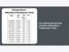 Cara Memantau Kinerja Investasi Reksadana Pendapatan Tetap