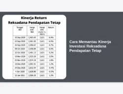 Cara Memantau Kinerja Investasi Reksadana Pendapatan Tetap