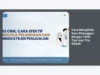 Cara Mengelola Data Pelanggan dengan CRM: Tips dan Trik Efektif