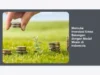Memulai Investasi Emas Batangan dengan Modal Minim di Indonesia