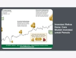 Investasi Reksa Dana: Cara Mudah Investasi untuk Pemula