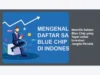 Memilih Saham Blue Chip yang Tepat untuk Investasi Jangka Pendek