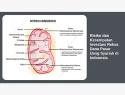 Risiko dan Kesempatan Investasi Reksa Dana Pasar Uang Syariah di Indonesia