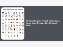Membandingkan Produk Reksa Dana Pasar Uang Syariah dari Berbagai Bank