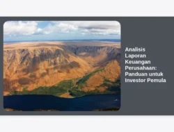 Analisis Laporan Keuangan Perusahaan: Panduan untuk Investor Pemula
