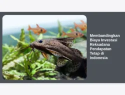 Membandingkan Biaya Investasi Reksadana Pendapatan Tetap di Indonesia