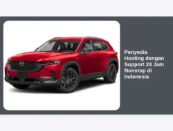 Penyedia Hosting dengan Support 24 Jam Nonstop di Indonesia