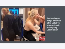 Perbandingan Harga Software CRM Lokal vs Internasional: Mana yang Lebih Baik?