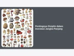 Pentingnya Disiplin dalam Investasi Jangka Panjang