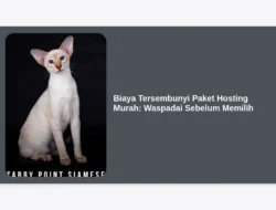 Biaya Tersembunyi Paket Hosting Murah: Waspadai Sebelum Memilih