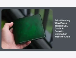 Paket Hosting WordPress dengan SSL Gratis & Domain:  Optimalkan Website Anda