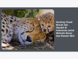 Hosting Cloud Murah dan Handal di Indonesia untuk Website Besar dan Ramah SEO