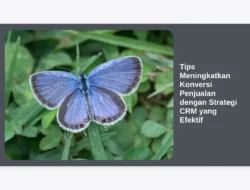 Tips Meningkatkan Konversi Penjualan dengan Strategi CRM yang Efektif