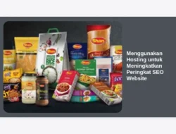 Menggunakan Hosting untuk Meningkatkan Peringkat SEO Website
